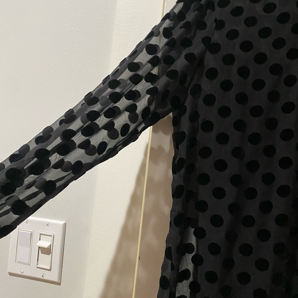 Stone Cold Fox Sheer Velvet Polka Dot Dress - Picture 12 of 16